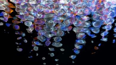 fusion beam digital flow 2130062244