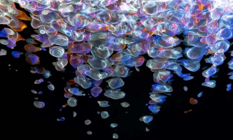 fusion beam digital flow 2130062244