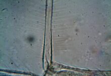 future ready competitive structure analysis