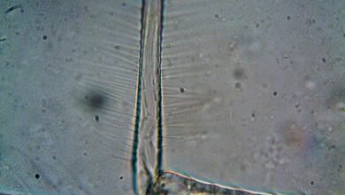 future ready competitive structure analysis