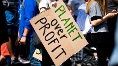 horizon beam profit node