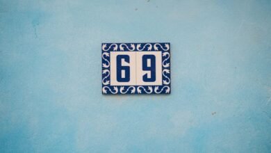 omega circuit 917896699 leadership lane