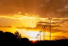 zenith horizon market expansion planning