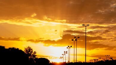 zenith horizon market expansion planning