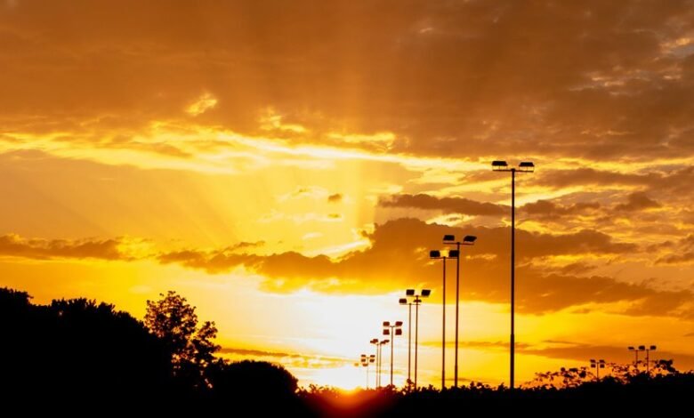 zenith horizon market expansion planning