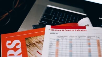 beginner guide to tomoson business