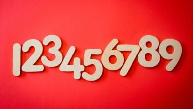 how 18556991528 works implications